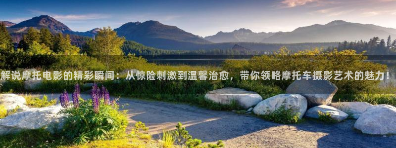 新闻图片