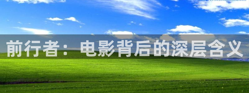国产成人午夜高潮毛片男男爱