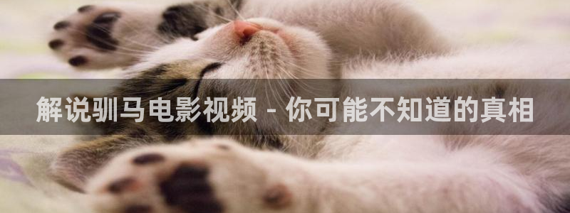 光棍午夜影院手机在线观看