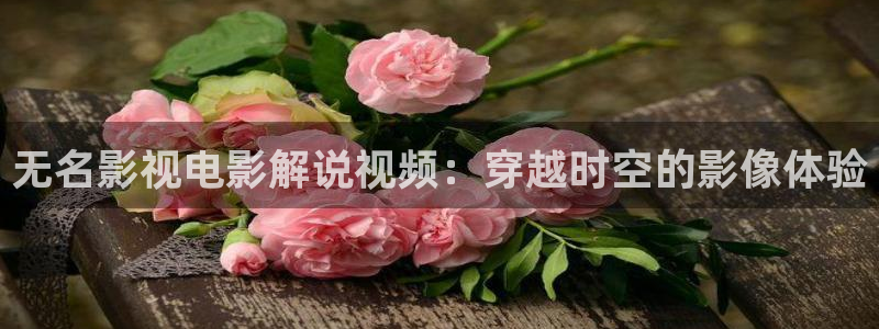 午夜网