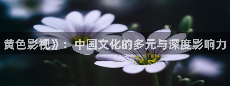 午夜电影88