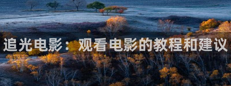 神马午夜影院dy8888
