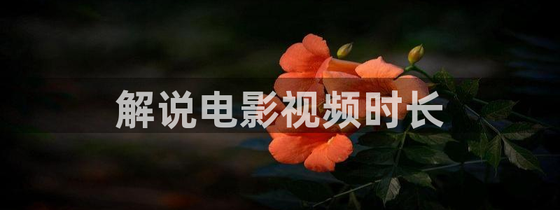 老子午夜影视在线观看