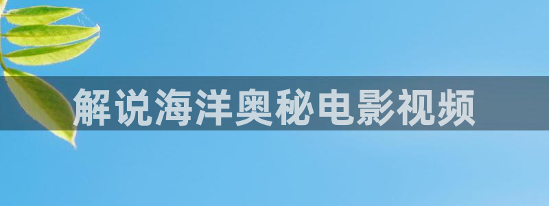 欧美午夜电影网站