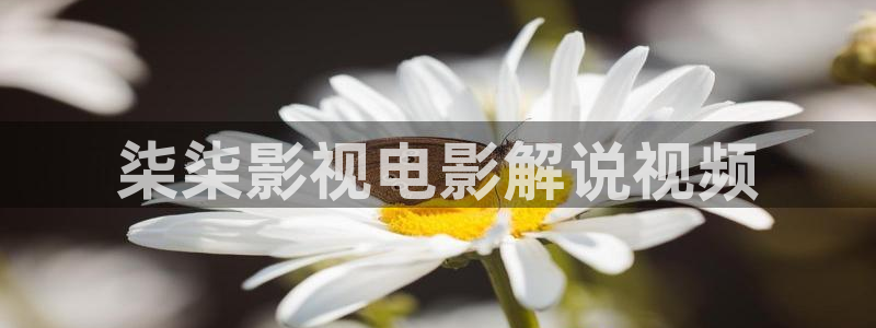 午夜特级aaa片
