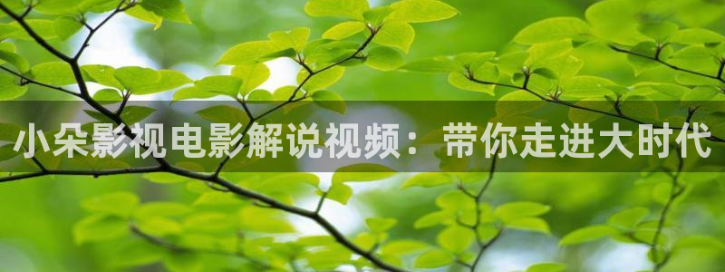 dj午夜影院