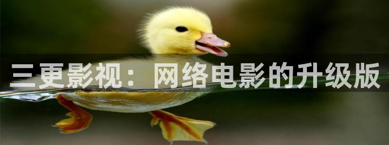 国产午夜在线视频