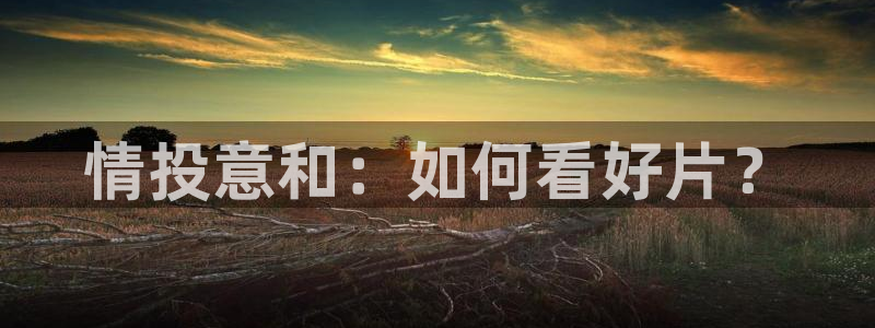 av午夜电影