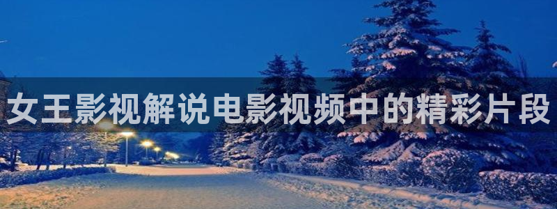 午夜网在线观看