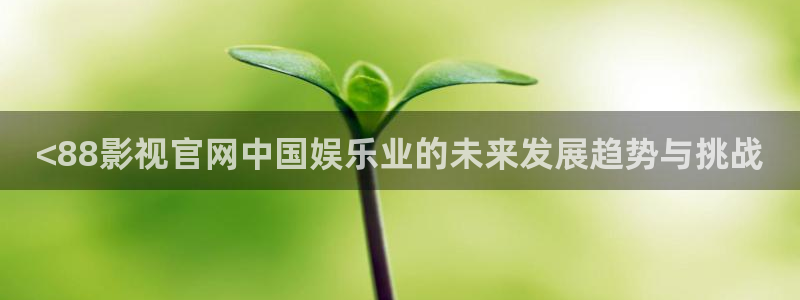 秋霞网 午夜