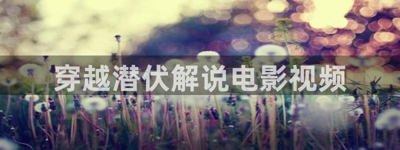日本理伦片午夜理伦电影