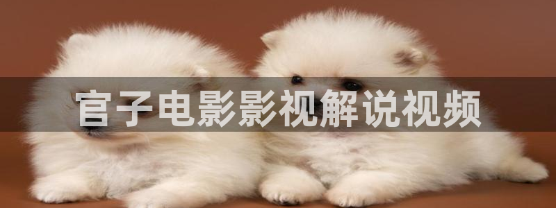 在线午夜