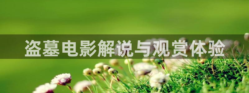 日韩午夜精品影视