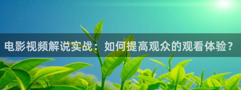 神马电影网午夜电影院