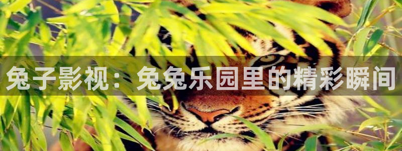 成人免费午夜毛片