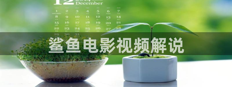 国产午夜激情av