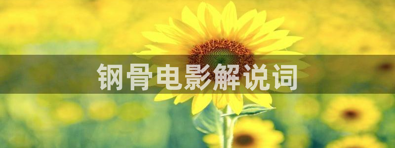 成人午夜一级电影