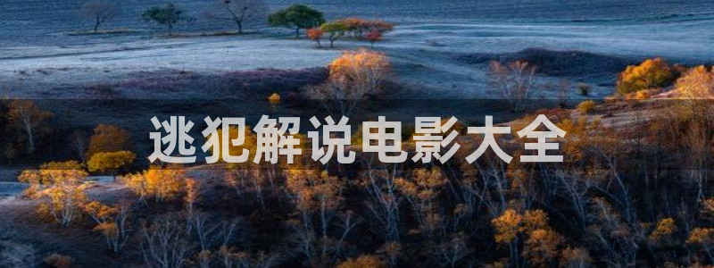 久久久久久午夜影院