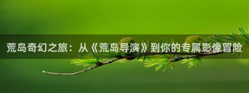 成年人的午夜电影