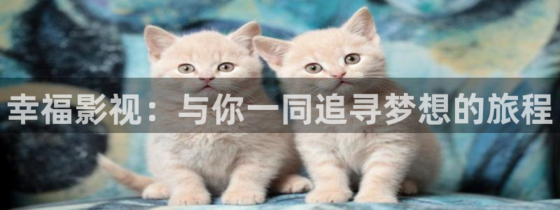 国产看片午夜天堂