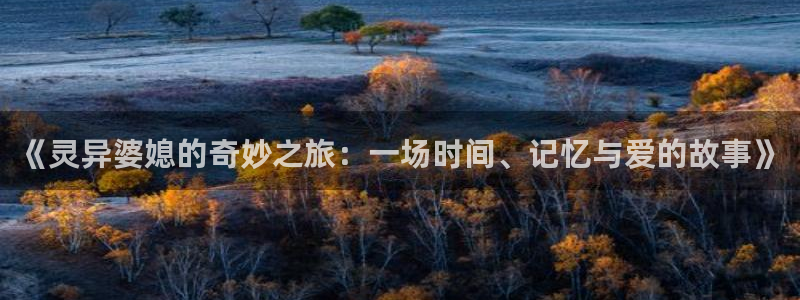 日韩午夜电影免费观看