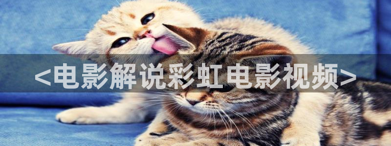 午夜电影在线网站