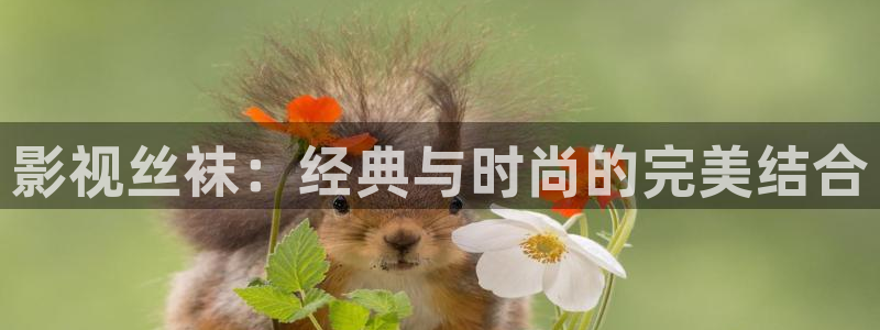 九七电影网午夜
