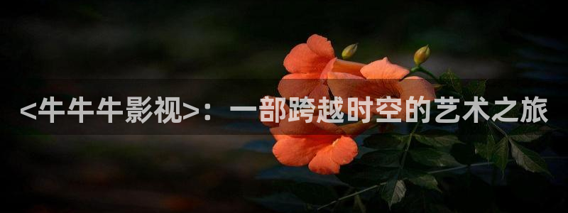 kk午夜大片