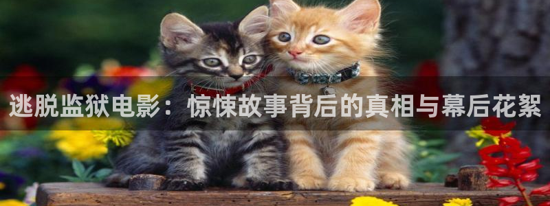 午夜 影院 蜜桃