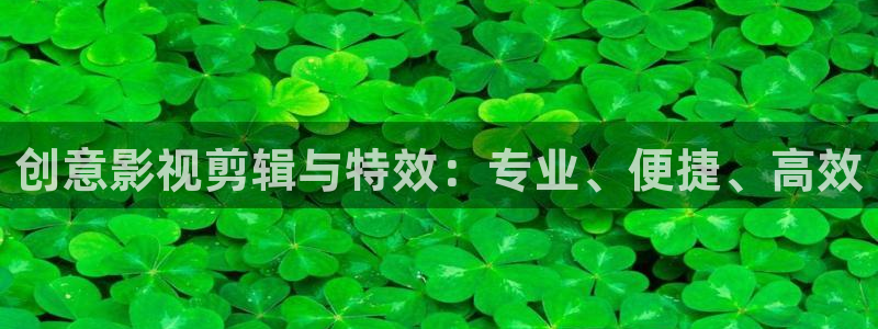 成年人午夜大片