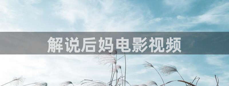 午夜国产av网站
