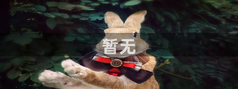 神马电影网在线午夜