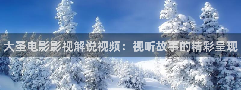神马午夜影视大全
