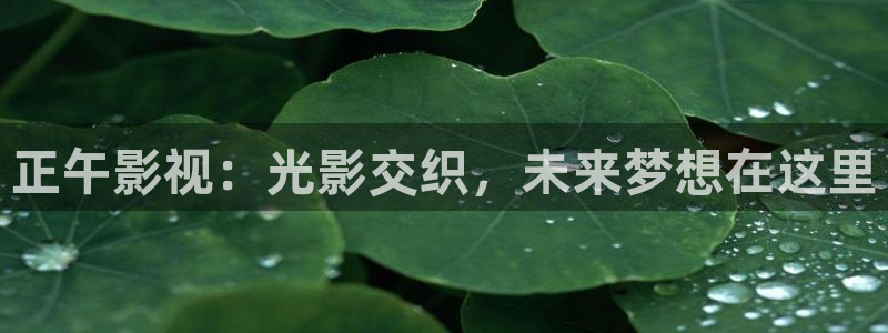免费午夜影片在线观看