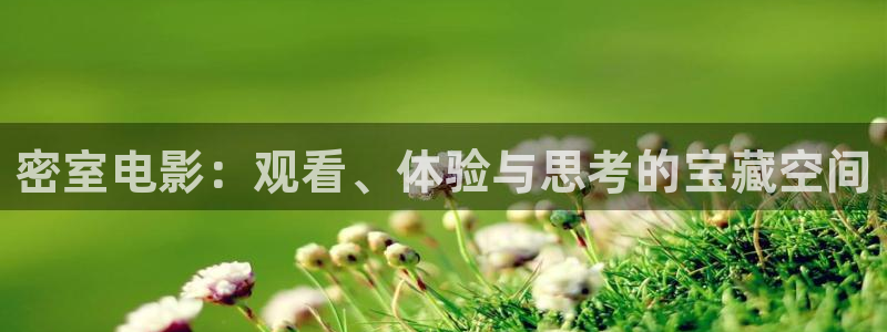 午夜大片在线观看视频