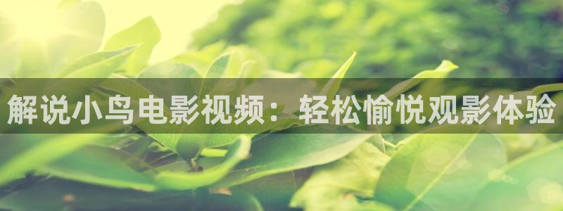 电影联盟午夜tv