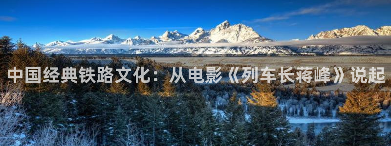 久久午夜电影网