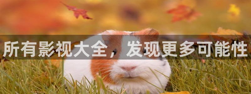 欧美午夜av电影免费