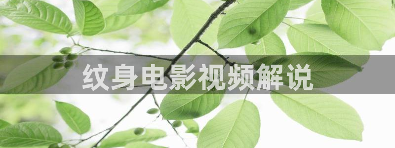 午夜电家庭影院