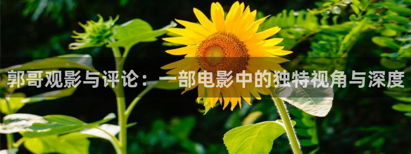 97午夜理论电影院