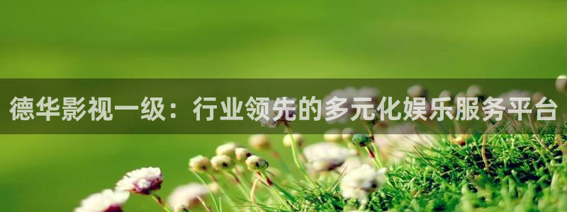 午夜电影 伦理